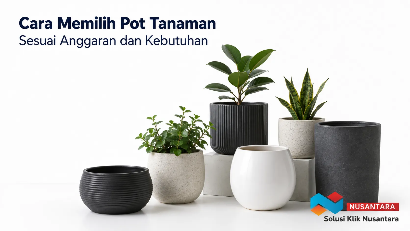 Beragam pot tanaman berkualitas dengan material berbeda sebagai ilustrasi cara memilih pot tanaman sesuai anggaran dan kebutuhan.