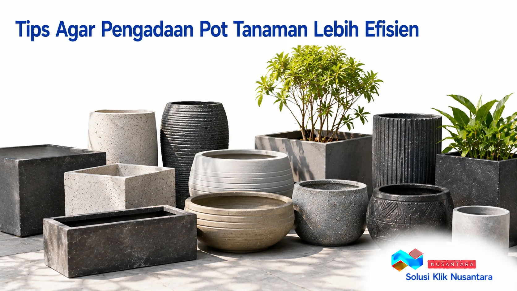 Tips pengadaan pot tanaman agar lebih efisien untuk kebutuhan instansi dan ruang publik.