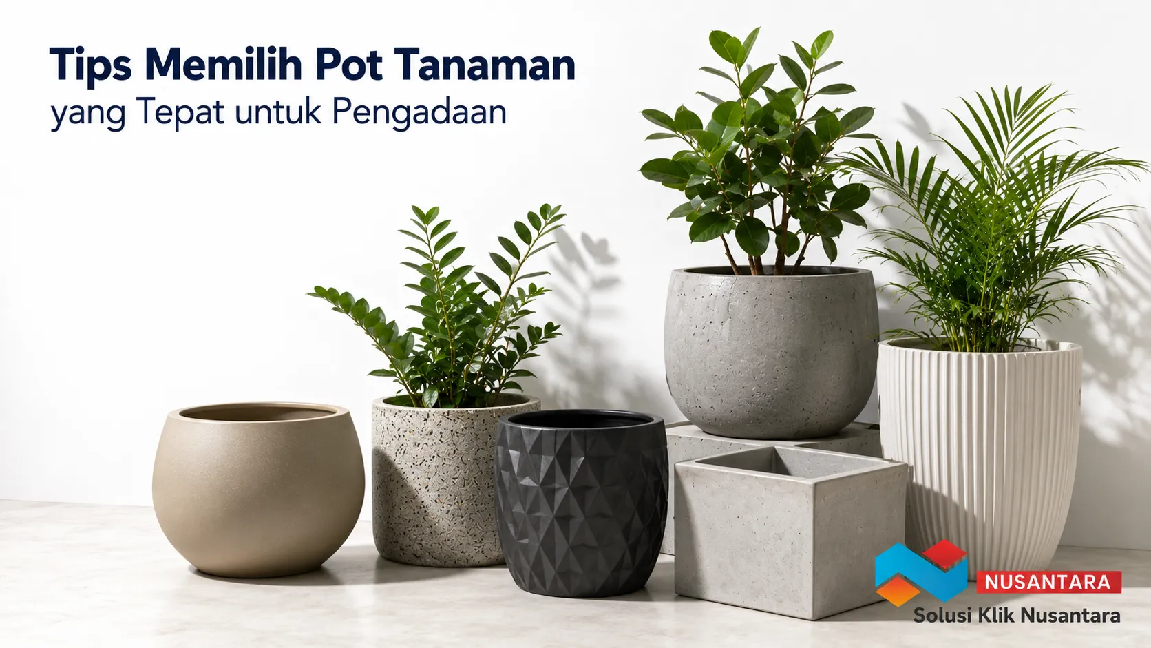 Beragam pot tanaman berkualitas dengan material berbeda sebagai ilustrasi tips memilih pot tanaman yang tepat untuk pengadaan.
