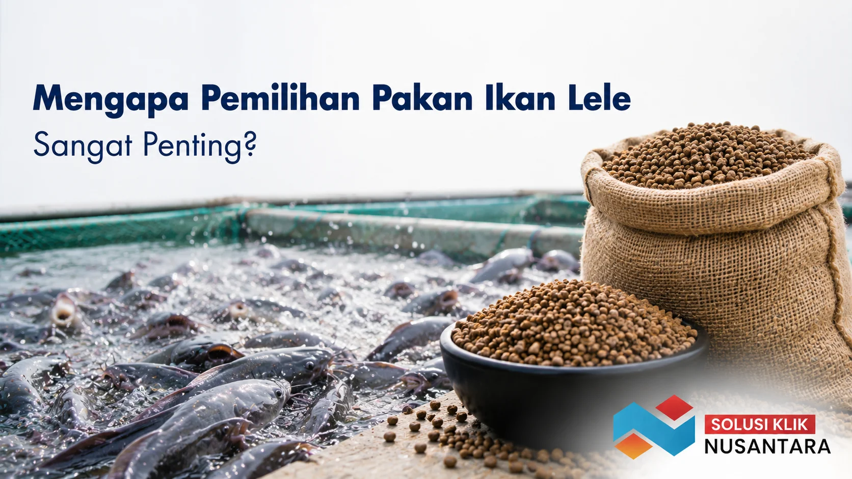 Pakan ikan lele berbentuk pelet dengan latar kolam budidaya sebagai ilustrasi pentingnya memilih pakan berkualitas untuk mendukung pertumbuhan lele.