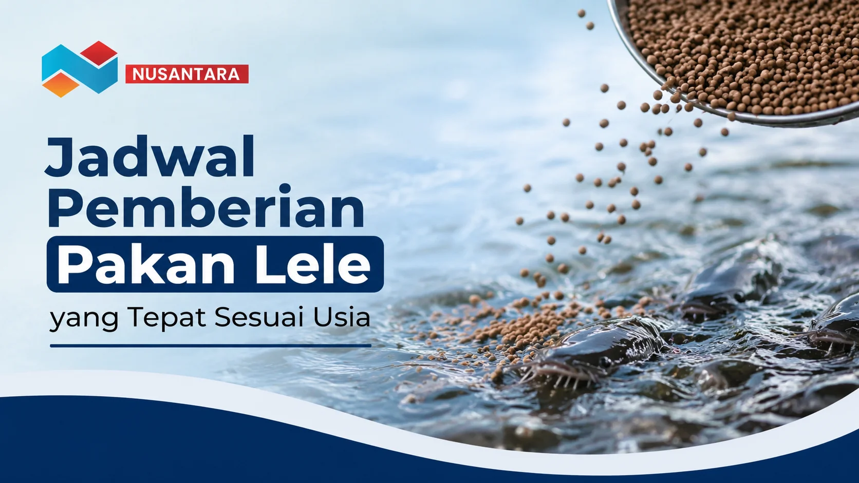 Ilustrasi gambar jadwal pemberian pakan lele yang tepat sesuai usia untuk mendukung pertumbuhan dan kesehatan ikan lele