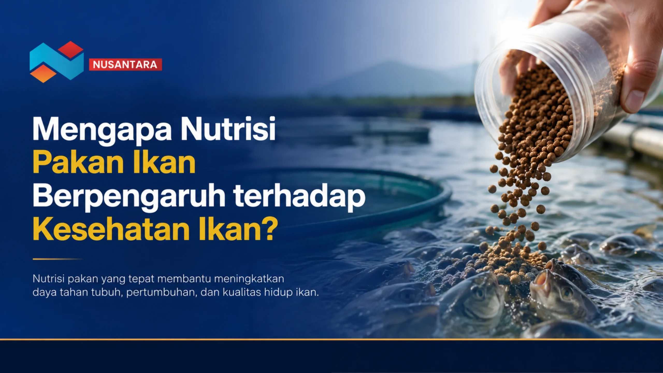 Ilustrasi gambar Nutrisi Pakan Ikan berpengaruh terhadap kesehatan ikan melalui pemberian pakan berkualitas dengan kandungan gizi seimbang untuk mendukung pertumbuhan dan daya tahan ikan.