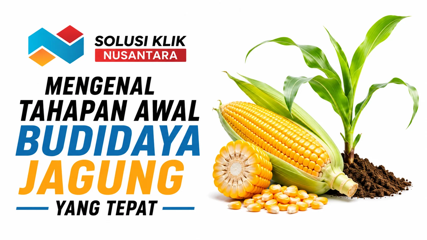 Ilustrasi tahapan awal budidaya jagung yang tepat mulai dari persiapan lahan, benih jagung unggul, hingga proses penanaman untuk hasil panen optimal.